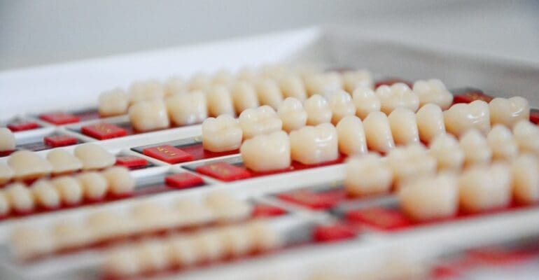 teeth